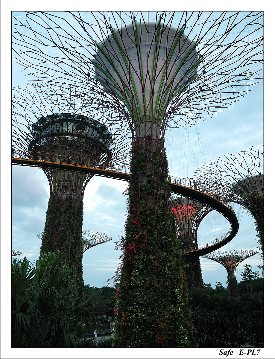 2016 - 07 - Singapour - 45